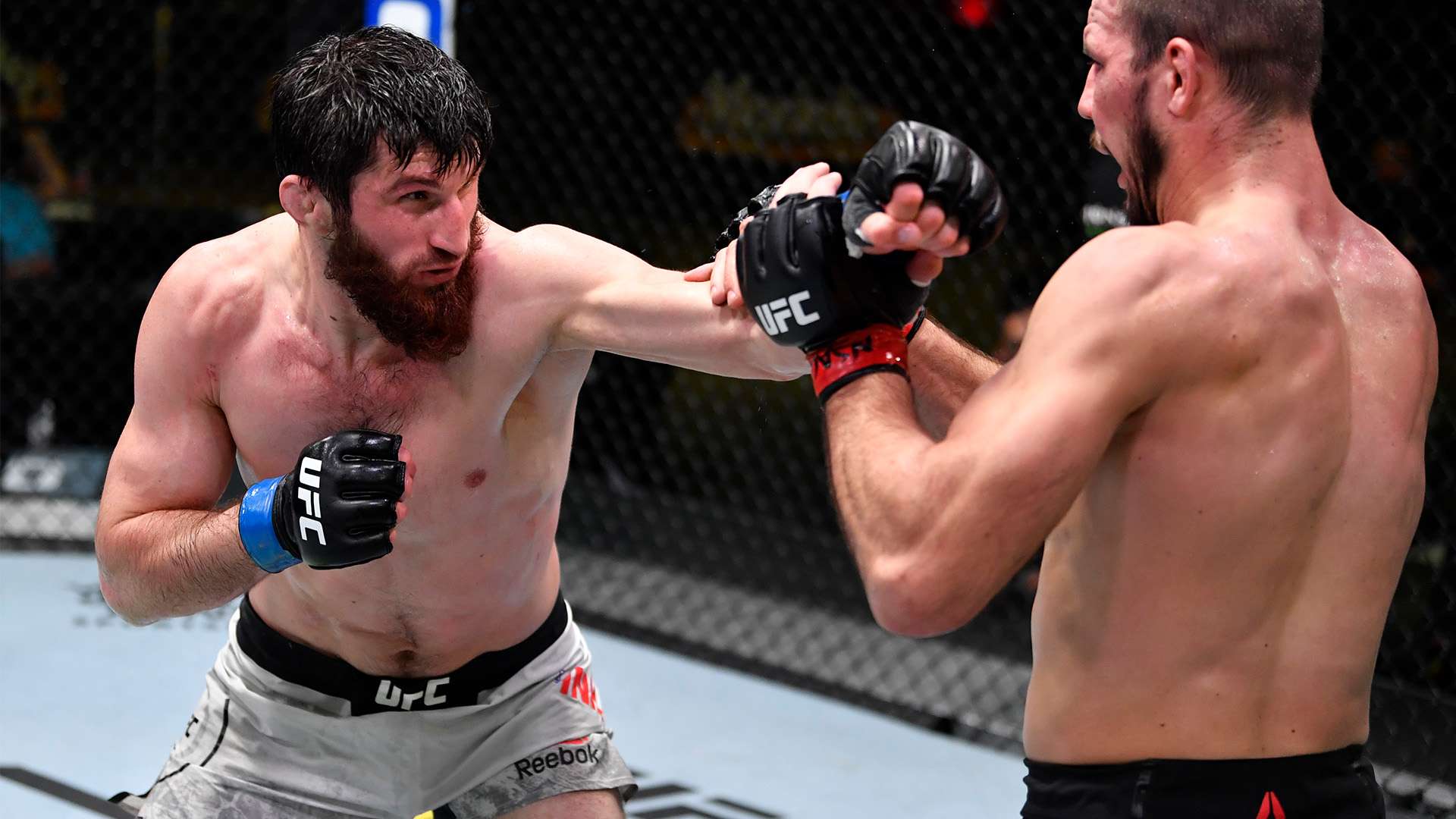 在比赛中 在比赛中