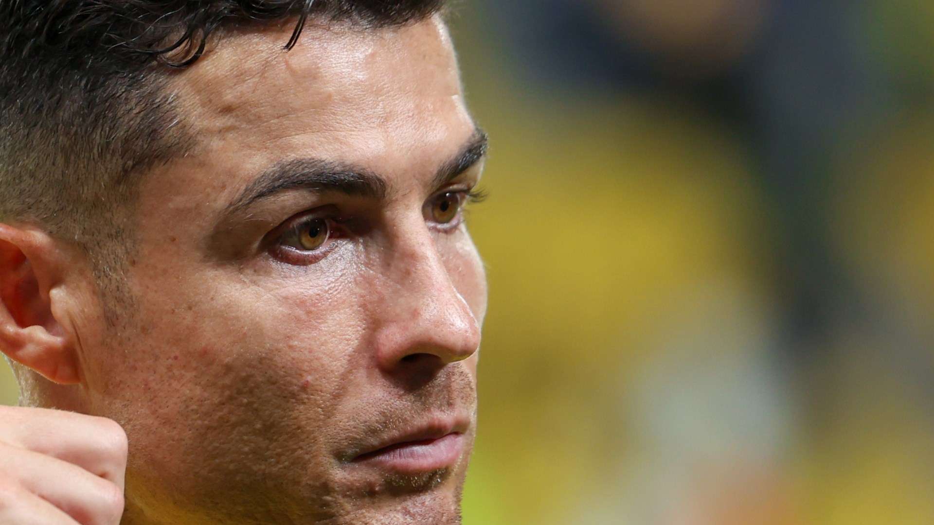 不仅体现出 不仅体现出